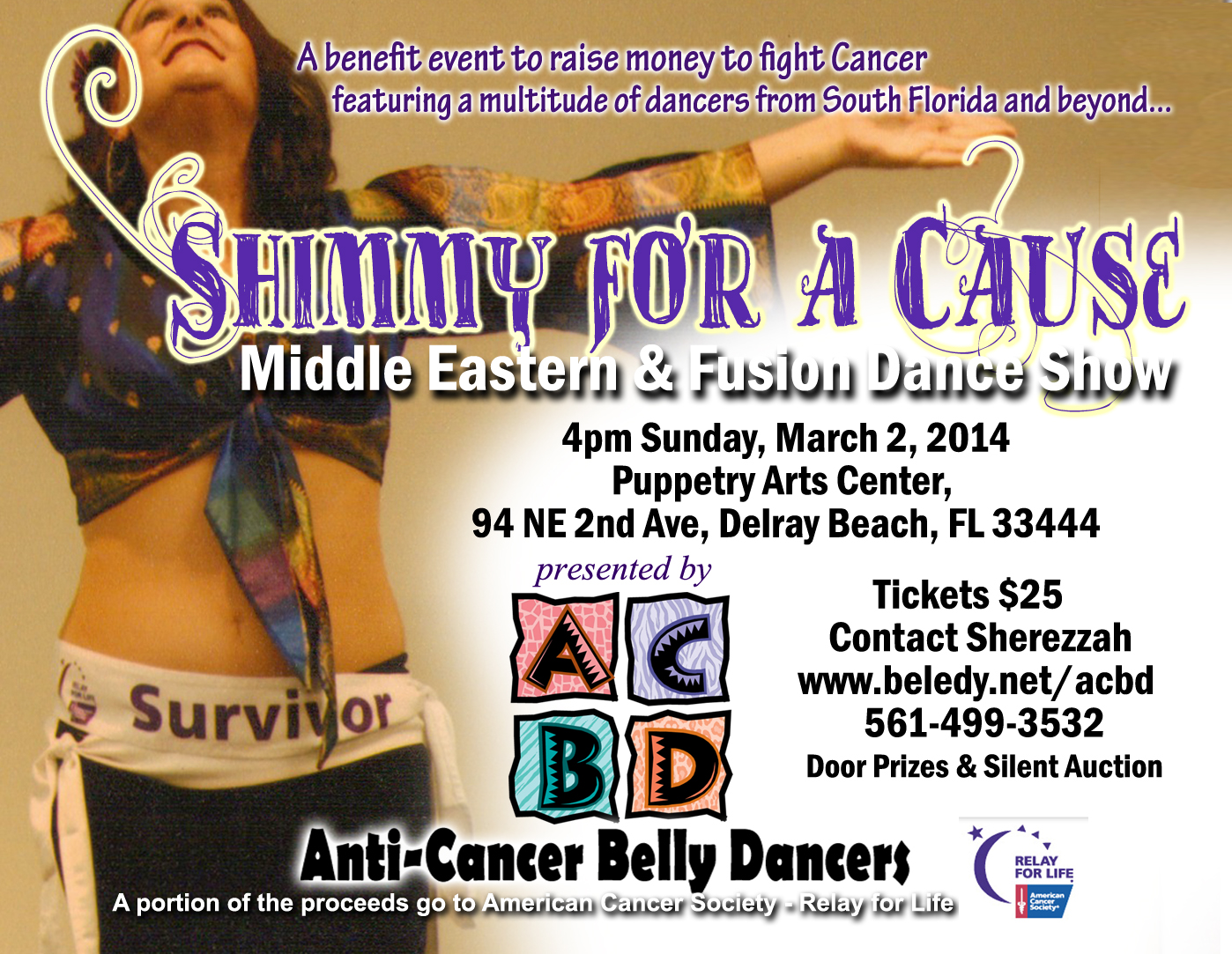 Shimmy for a Cause, a Middle Eastern and Fusion Dance Show
