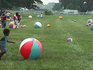 -Beach balls-