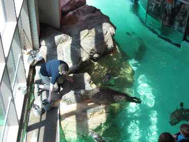 Maritime Aquarium, July '08